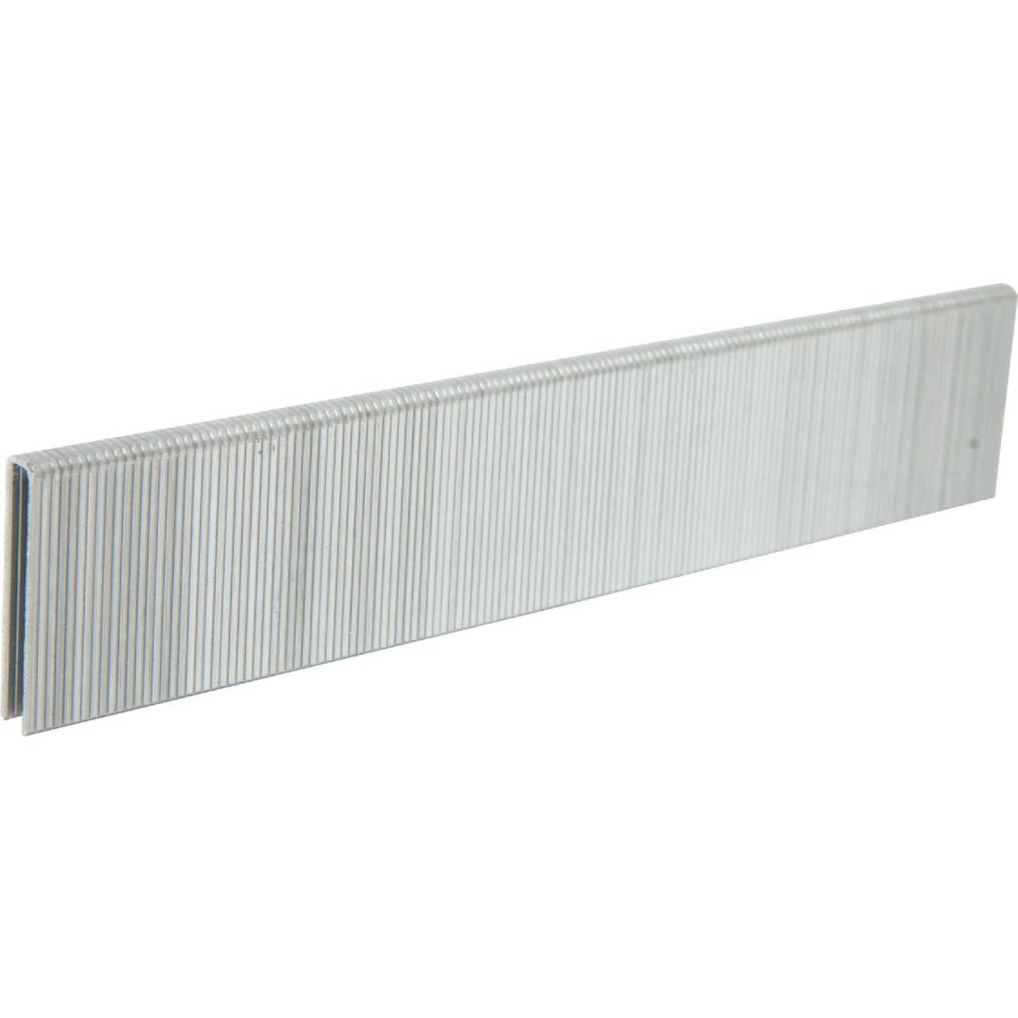 Bostitch 97 Series 20 Ga. Galvanized Flooring Staple, 3/16 In. x 1 In. (5000 Ct.) Image 1