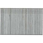 Pro-Fit 2 In. 16 Gauge Electro Galvanized Straight Finish Nail (1000 Ct.) Image 1