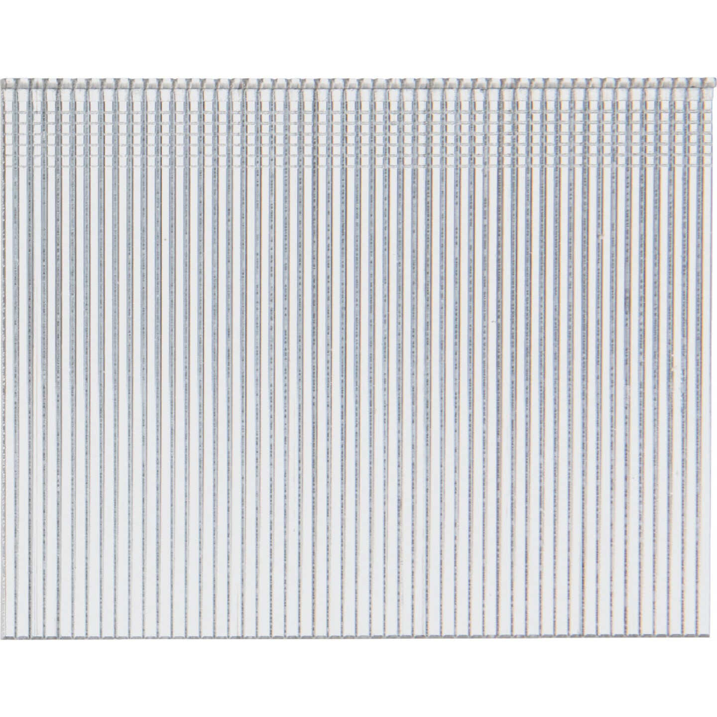 Pro-Fit 2-1/2 In. 16 Gauge Electro Galvanized Straight Finish Nail (1000 Ct.) Image 1