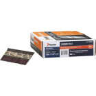 Paslode RounDrive 30 Degree Paper Tape Bright Offset Round Head Framing Stick Nail, 3-1/4 In. x .131 Image 1