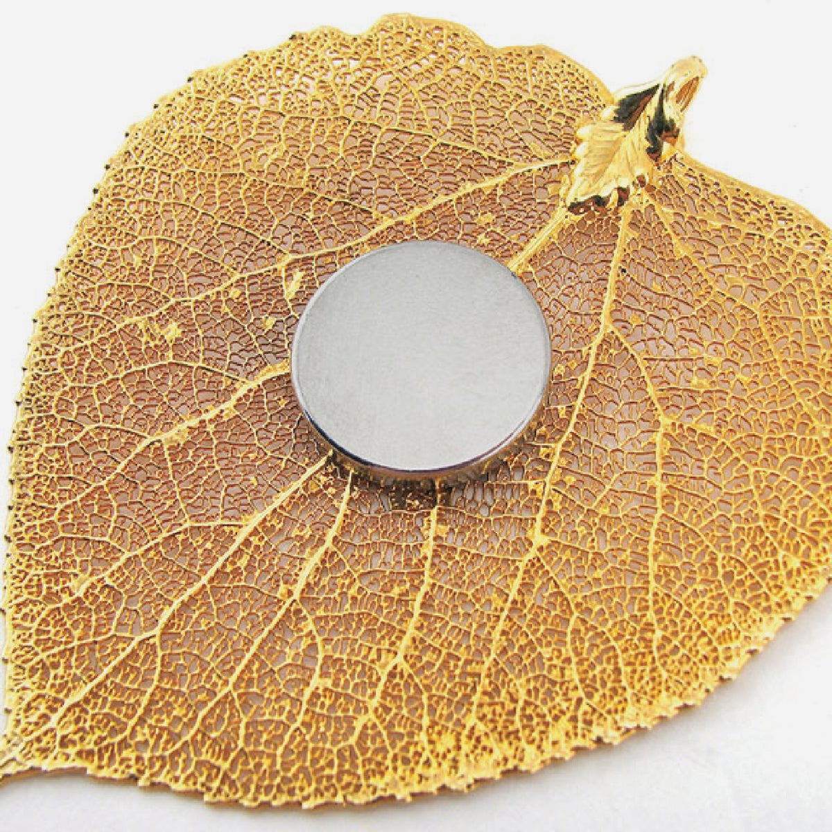 MagnetSource 1.68 Lb. Capacity Neodymium Disc Magnet with Adhesive (12-Pack) Image 3