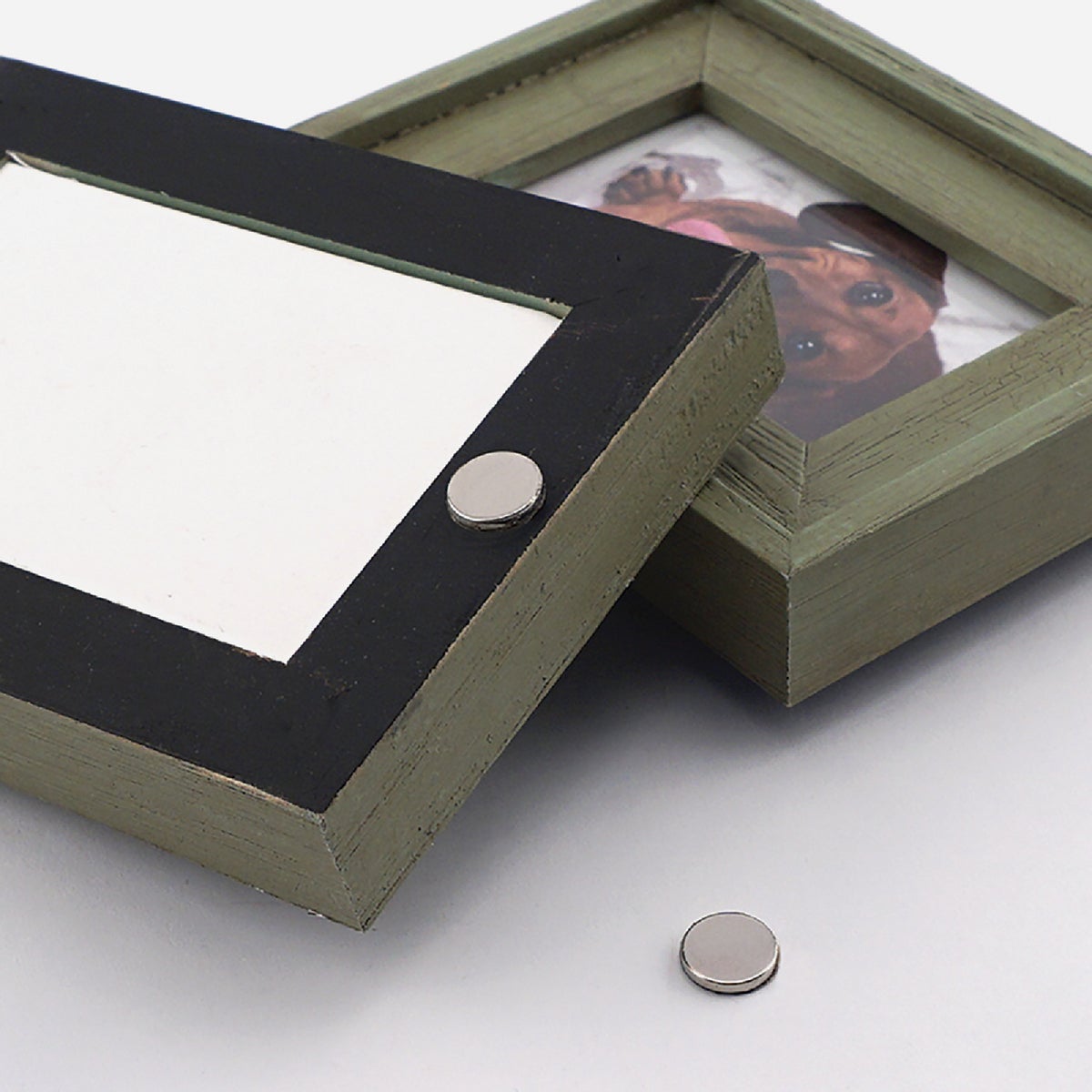 MagnetSource 1.68 Lb. Capacity Neodymium Disc Magnet with Adhesive (12-Pack) Image 2