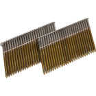 Grip-Rite 28 Degree Wire Weld Bright Smooth Shank Clipped Head Framing Stick Nail, 2-3/8 In. x .113 In. (2500 Ct.) Image 1