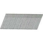 Pro-Fit 1-1/2 In. 16 Gauge Electro Galvanized 20 Degree Angled Finish Nail (2000 Ct.) Image 1