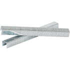 Channellock No. 4 Hammer Tacker Staple, 3/8 In. (5000-Pack) Image 4