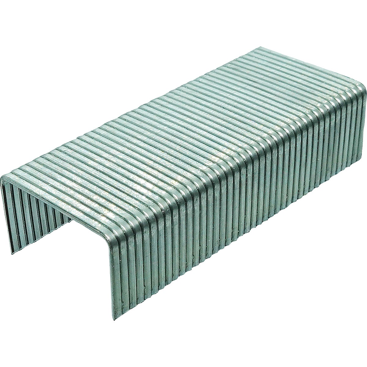 Grip-Rite No. 6 Hammer Tacker Staple, 5/16 In. (5000-Count) Image 3