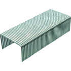 Grip-Rite No. 6 Hammer Tacker Staple, 5/16 In. (5000-Count) Image 3