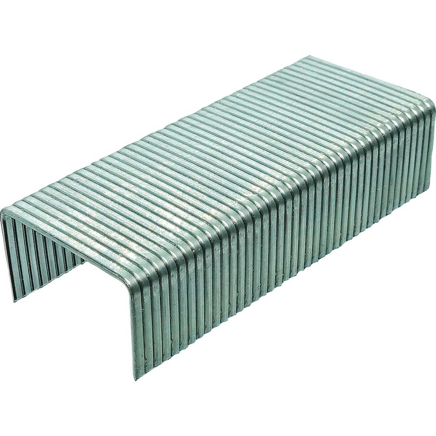 Grip-Rite No. 6 Hammer Tacker Staple, 5/16 In. (5000-Count) Image 3