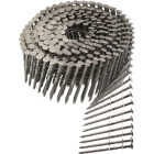 15 Wire Coil, Full Round Head, Ring-Shank Siding Nail 1-3/4 in. Type 304 (3600-Qty) Image 1