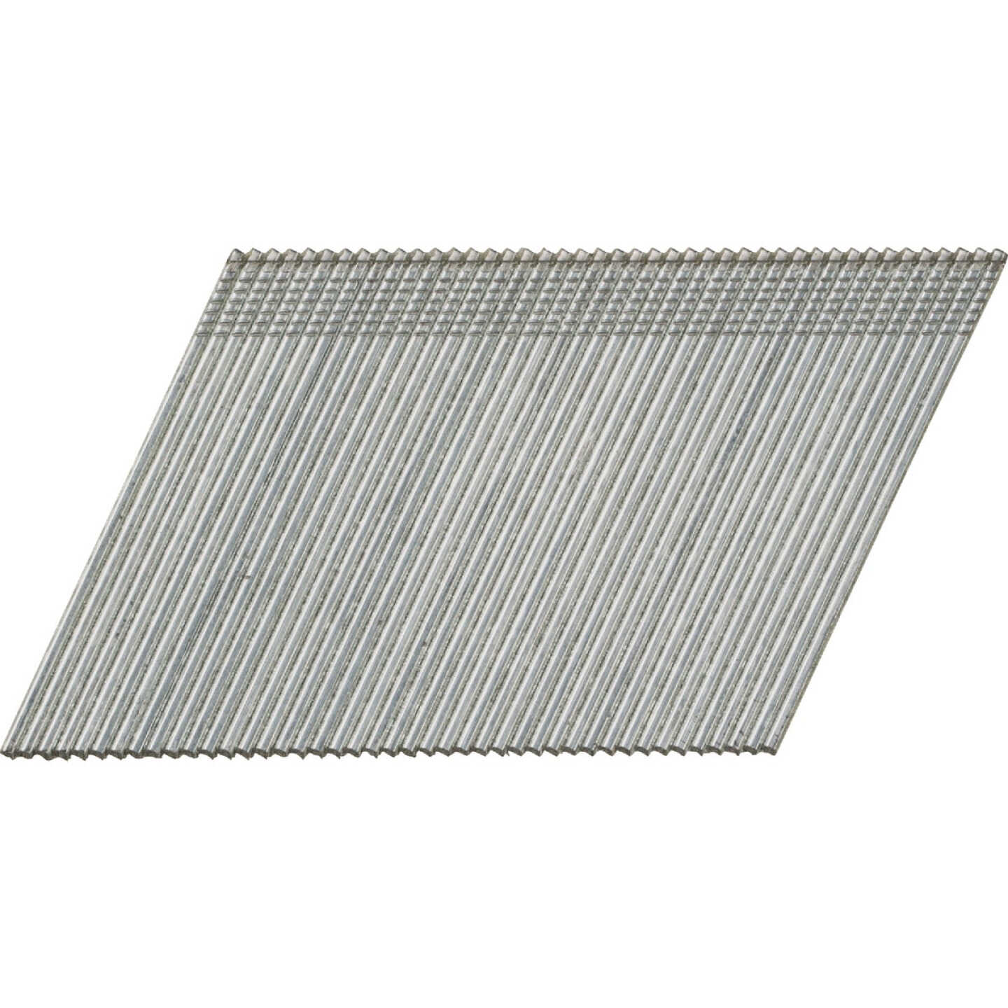 Pro-Fit 2-1/2 In. 15 Gauge Electro Galvanized 25 Degree Angled Finish Nails (500 Ct.) Image 1
