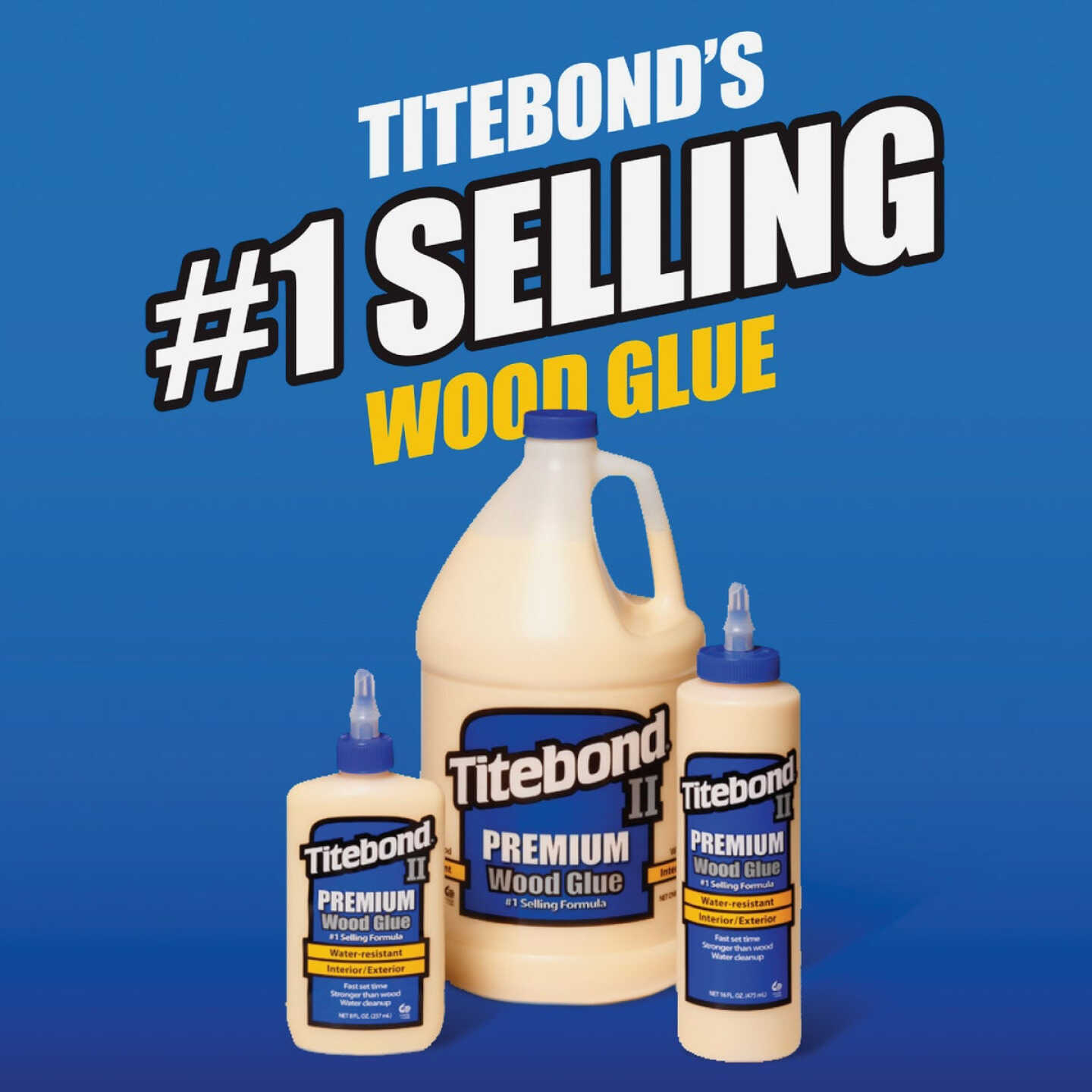 Titebond II 1 Gal. Premium Wood Glue Image 2