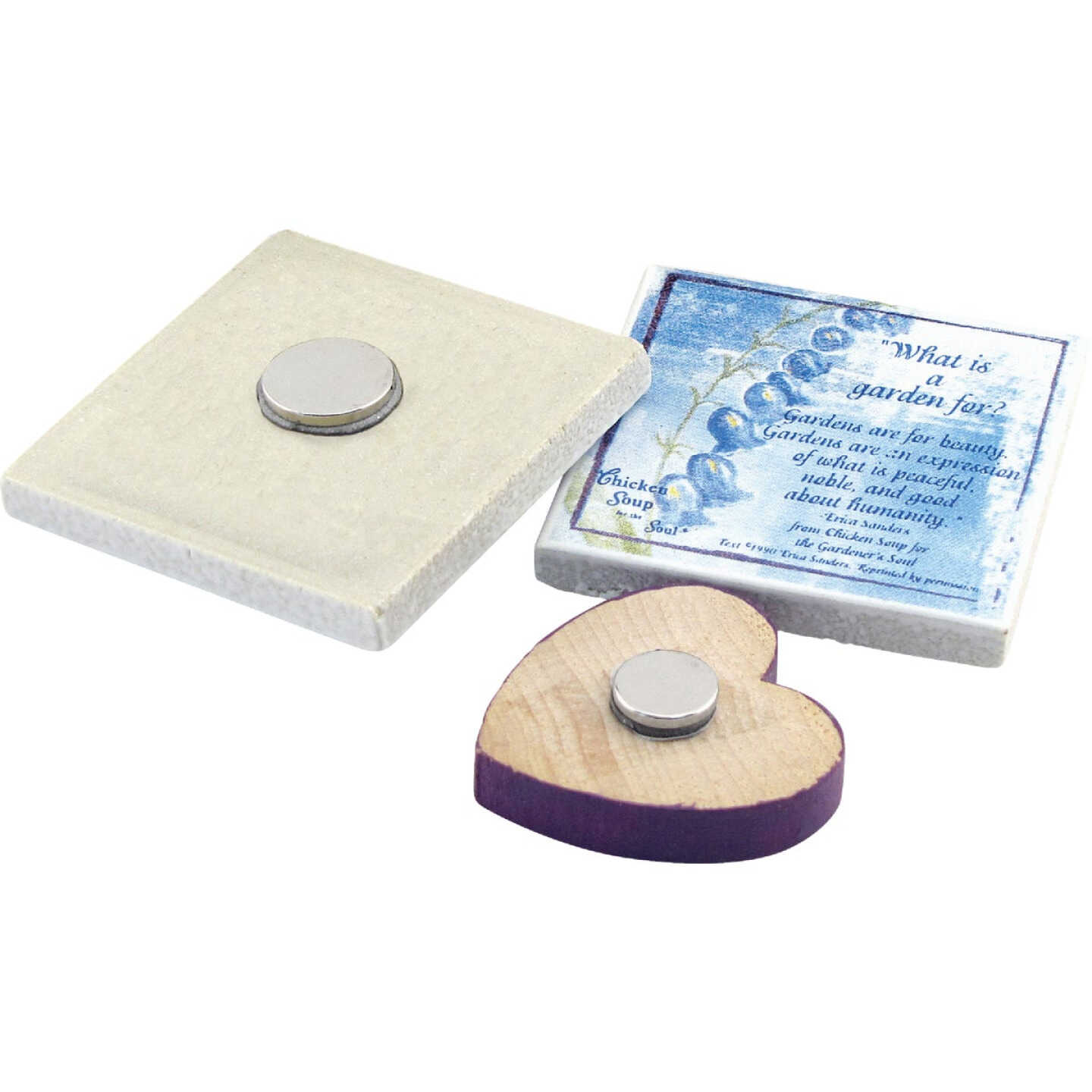 Master Magnetics 0.315 in. Neodymium Disc Magnet (10-Pack) Image 4