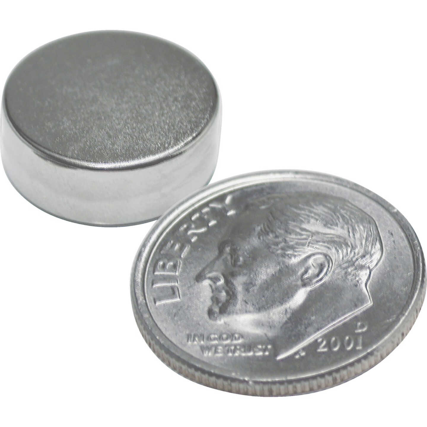 Master Magnetics 0.315 in. Neodymium Disc Magnet (10-Pack) Image 2