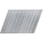 Pro-Fit 2 In. 16 Gauge Stainless Steel 20 Degree Angled Finish Nails (500 Ct.) Image 1