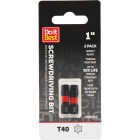 Do it Best 1 In. T40 Torx Impact Ready Screwdriver Bit (2-Pack) Image 1