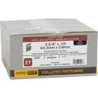 Pro-Fit 2-3/8 In. x 0.113 In. 21 Degree Plastic Strip Round Head Brite Framing Stick Nails (1000 Ct.) Image 2