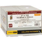 Pro-Fit 2 In. x 0.113 In. 21 Degree Plastic Strip Ring Shank Round Head Hot Dipped Galvanized Framing Stick Nails (2000 Ct.) Image 2