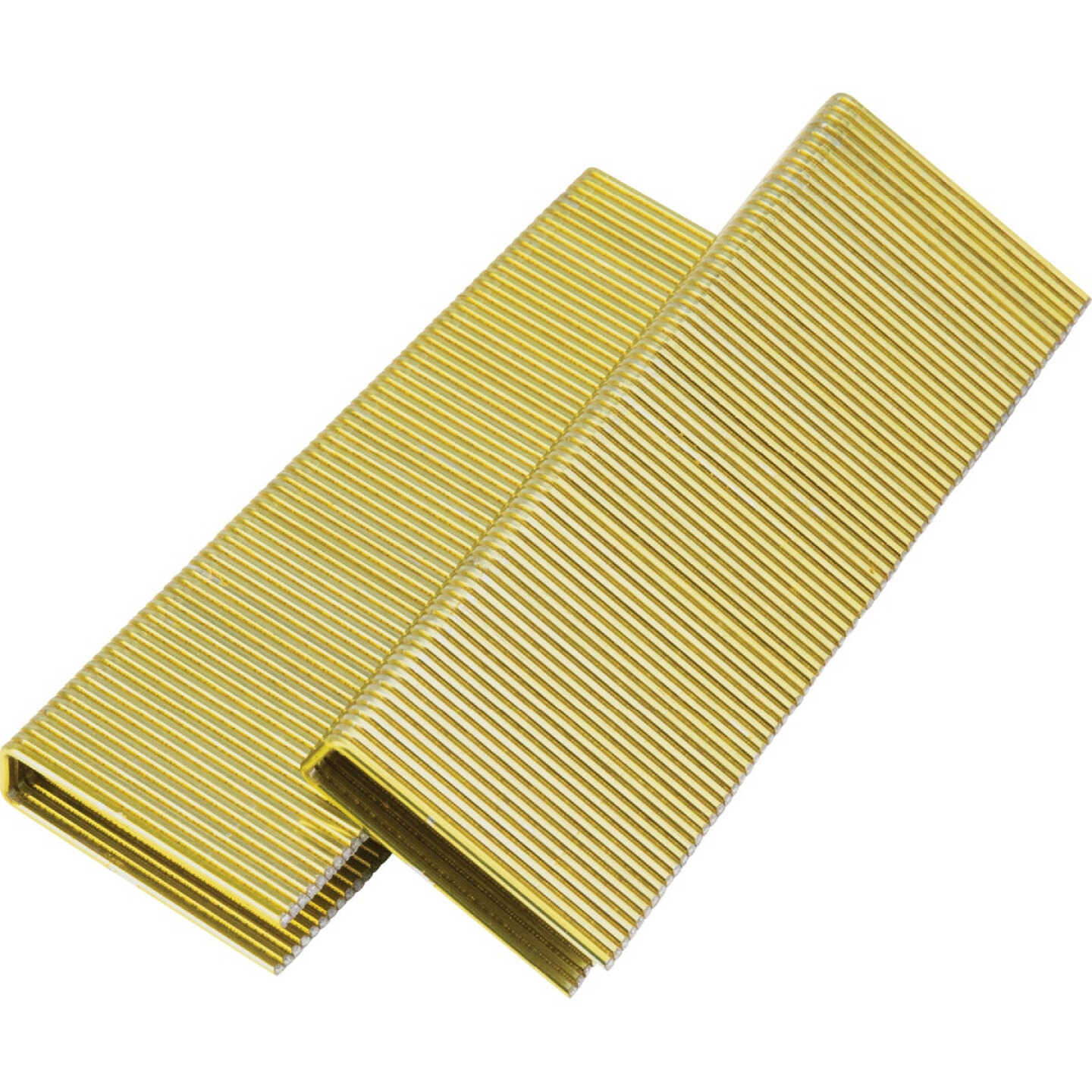 Pro-Fit 1/2 In. x 1-1/2 In. 16 Gauge Electro Galvanized GS-Style Medium Crown Staple (10,000 Ct.) Image 1