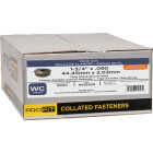 Pro-Fit 1-3/4 In. x 0.080 In. 15 Degree Wire Weld Hot Dipped Galvanized Ring Shank Round Head Coil Siding Nail (3000 Ct.) Image 2