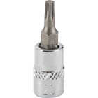 Channellock 1/4 In. Drive T20 6-Point Torx Bit Socket Image 1