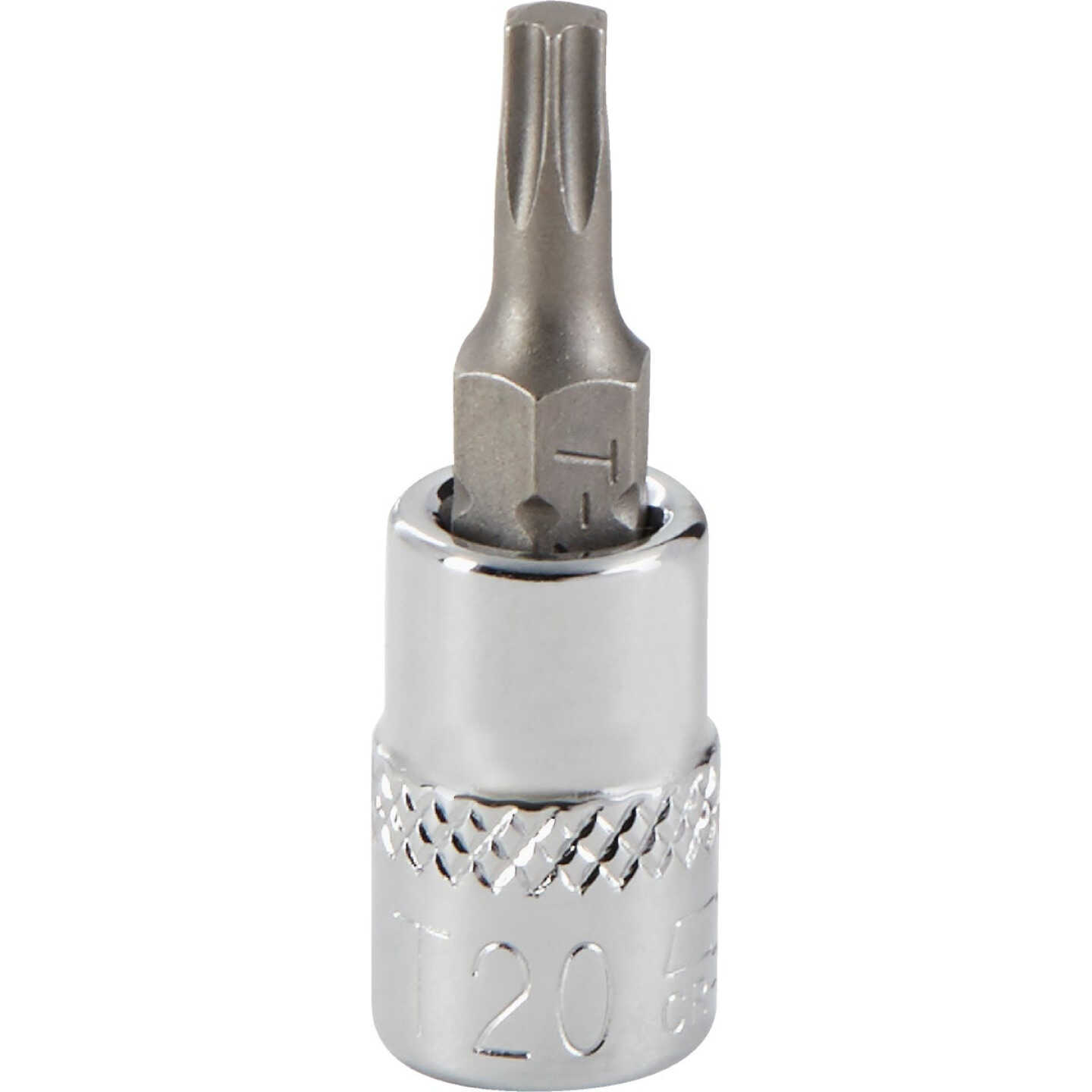 Channellock 1/4 In. Drive T20 6-Point Torx Bit Socket Image 1
