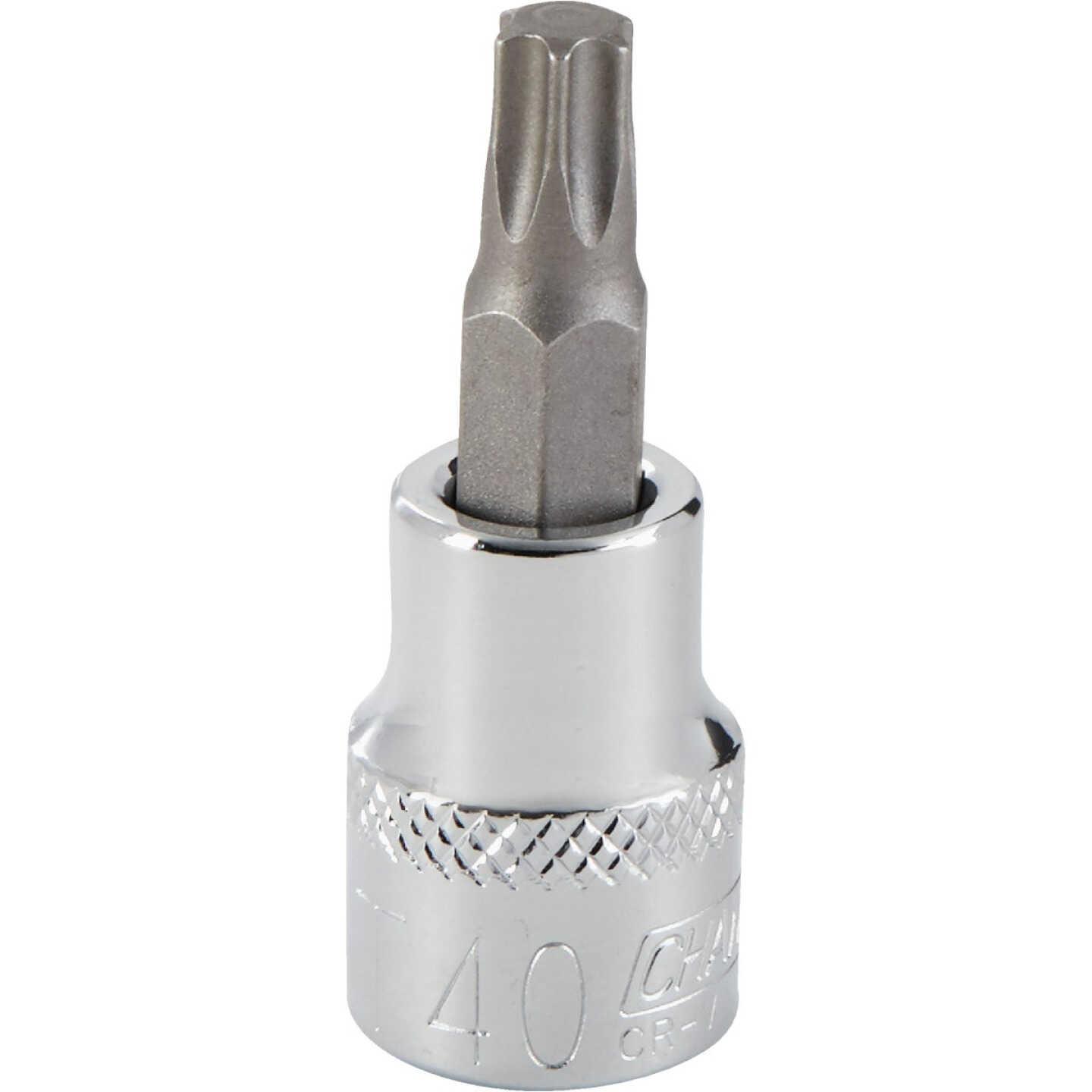 Channellock 3/8 In. Drive T40 6-Point Torx Bit Socket Image 1