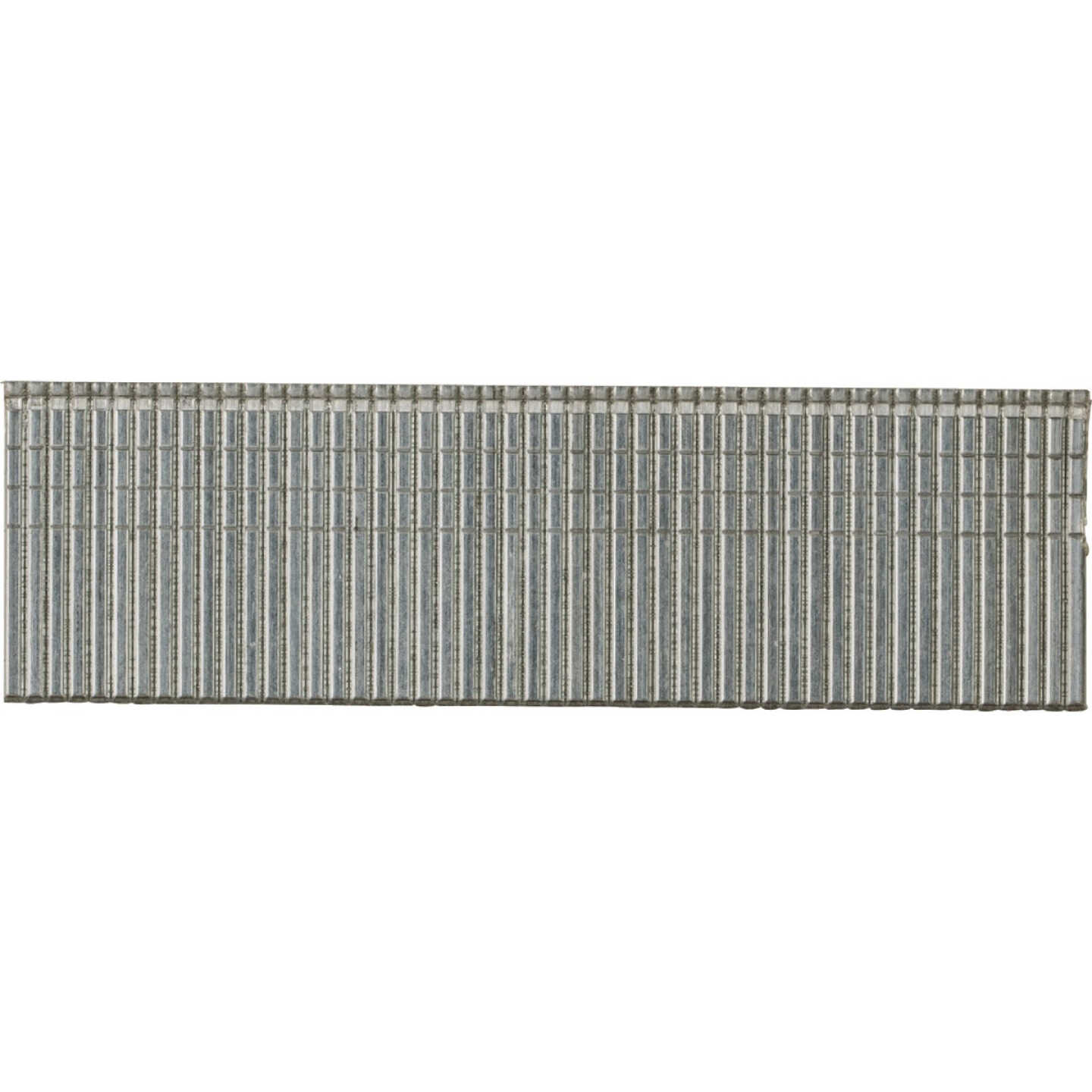 Pro-Fit 1 In. 16 Gauge Electro Galvanized Straight Finish Nails (5000 Ct.) Image 1