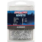 Channellock 1/8 In. Dia. x 1/8 In. Grip White Aluminum POP Rivet (100-Pack) Image 1