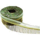 Paslode 1-7/8 In. x 0.092 In. 0 Degree Plastic Strip Electro Galvanized Smooth Shank Coil Siding Nails (9000 Ct.) Image 1