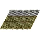 Pro-Fit 3 In. x 0.120 In. 28 Degree Wire Strip Ring Shank Round Head Galvanized Hot Dipped Galvanized Framing Stick Nails (2000 Ct.) Image 1