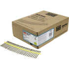 Deck-Drive DSV WOOD Screw (Collated) #10 x 3 in. T25 6-Lobe, Tan (1000-Qty) Image 1