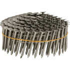 Stinger 1-1/2 In. x 0.120 In. 15 Degree Stainless Steel Coil Roofing Nails (3600 Ct.) Image 1
