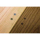 Simpson Strong-Tie Deck-Drive DWP #10 x 3 In. T25 6-Lobe Collated Deck Screw (1000 Ct.) Image 3
