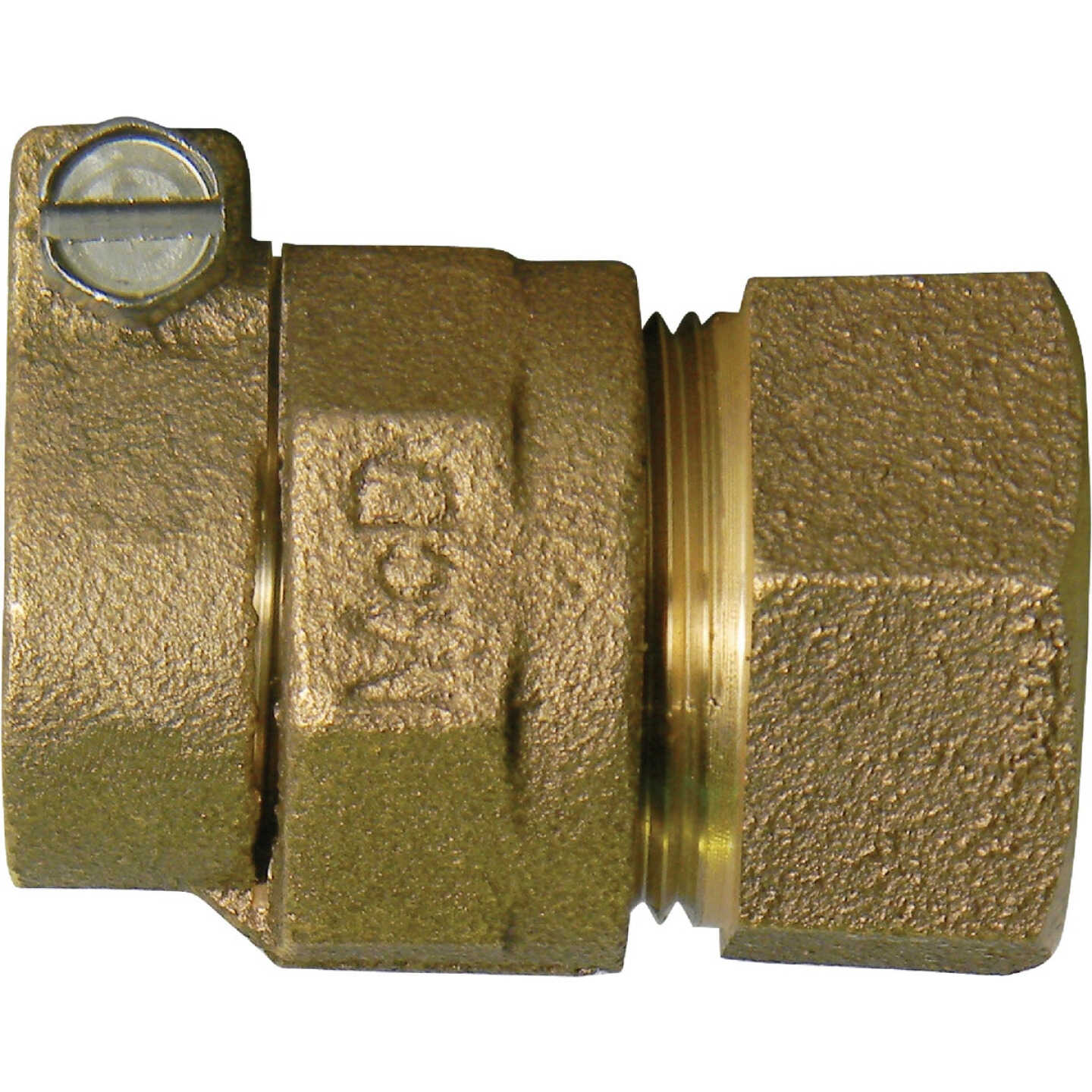 Anderson Metals 3/4 In. CTS x 3/4 In. FIPT Brass Low Lead Connector Image 1