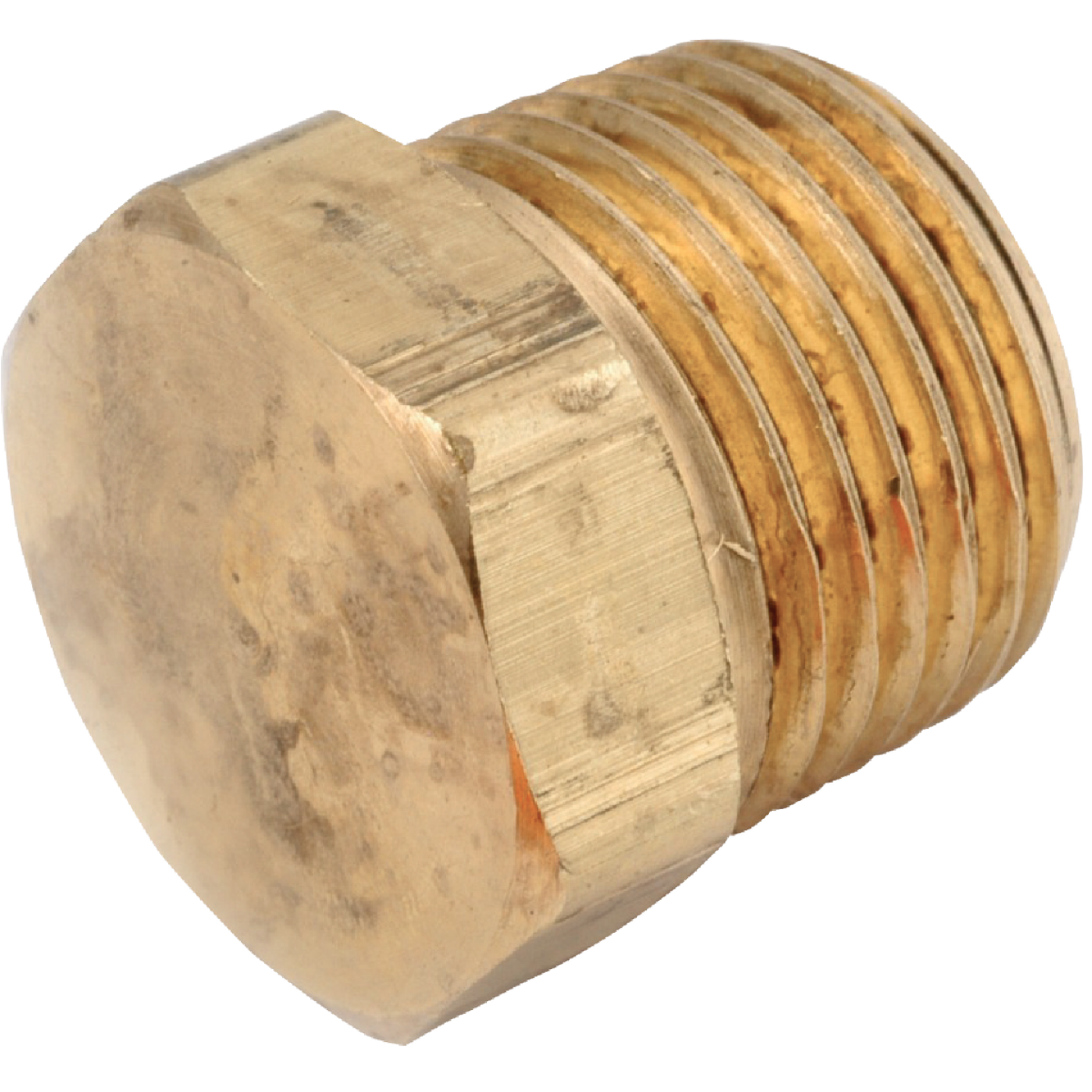 Anderson Metals 1/4 In. Low Lead Hex Head Brass Hex Plug Image 1
