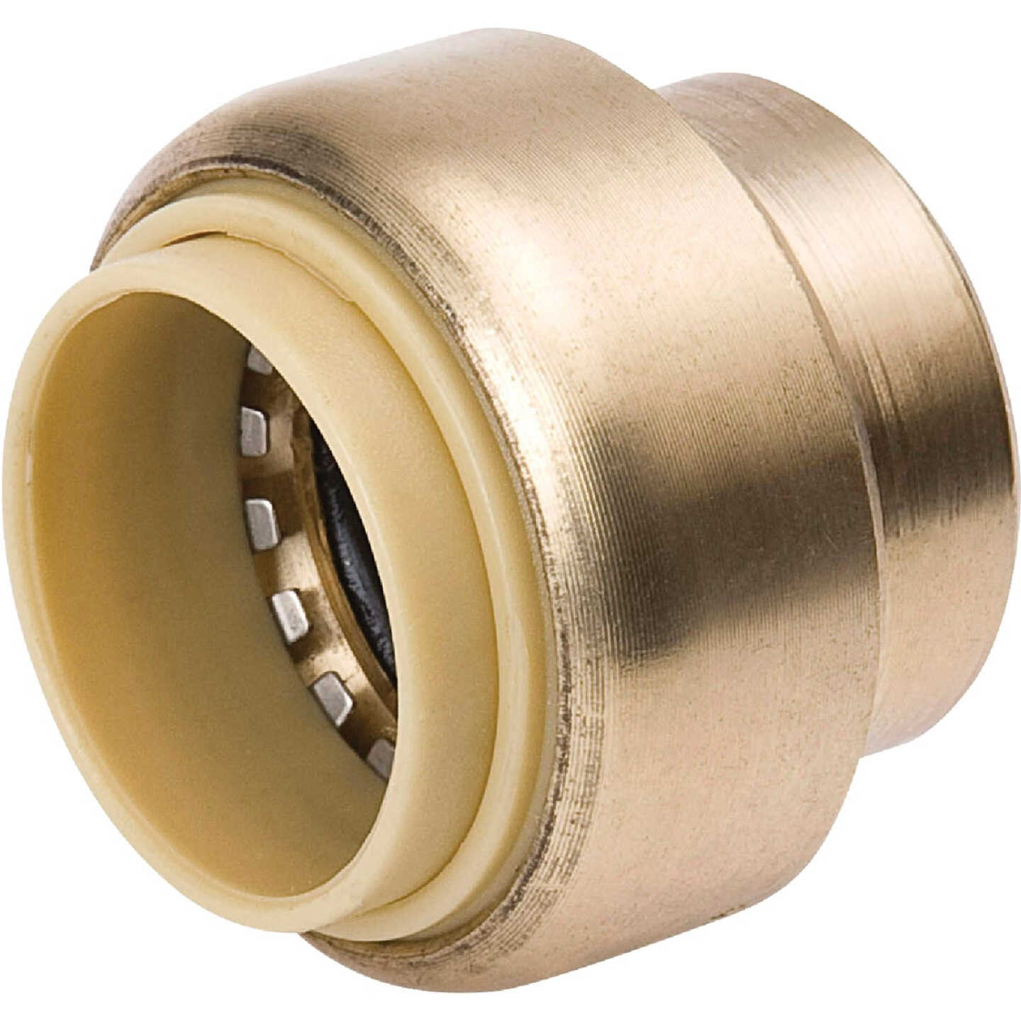 ProLine 1 In. PF Brass Push Fit Cap Image 1