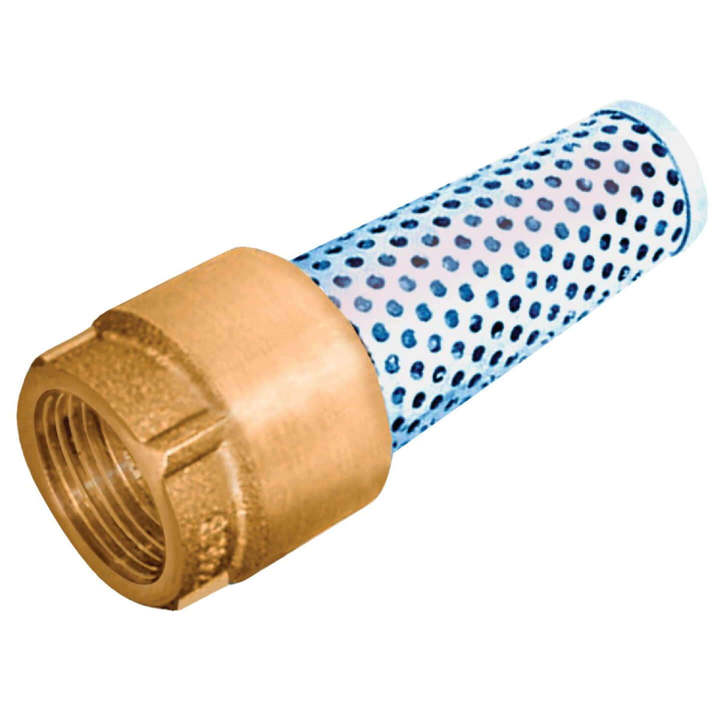 Simmons 1 In. 200 psi Bronze Foot Valve, Lead Free Image 1