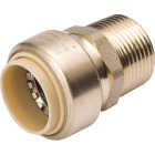 ProLine 1/2 In. PF x 1/2 In. MIP Brass Push Fit Male Adapter Image 1