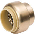ProLine 3/4 In. PF Brass Push Fit Cap Image 1