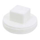 IPEX Sewer and Drain 3 In. PVC Sewer and Drain Plug Image 1