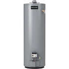 Reliance 40 Gal. Tall 6 Year 40,000 BTU Ultra Low NOx Natural Gas Water Heater Image 1
