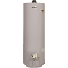 Reliance 30 Gal. Tall 6 Year 30,000 BTU Direct Vent Natural Gas/Liquid Propane Water Heater for Mobile Home Image 1