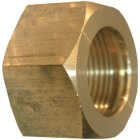 Lasco 5/16 In. Brass Compression Nut (2-Pack) Image 1