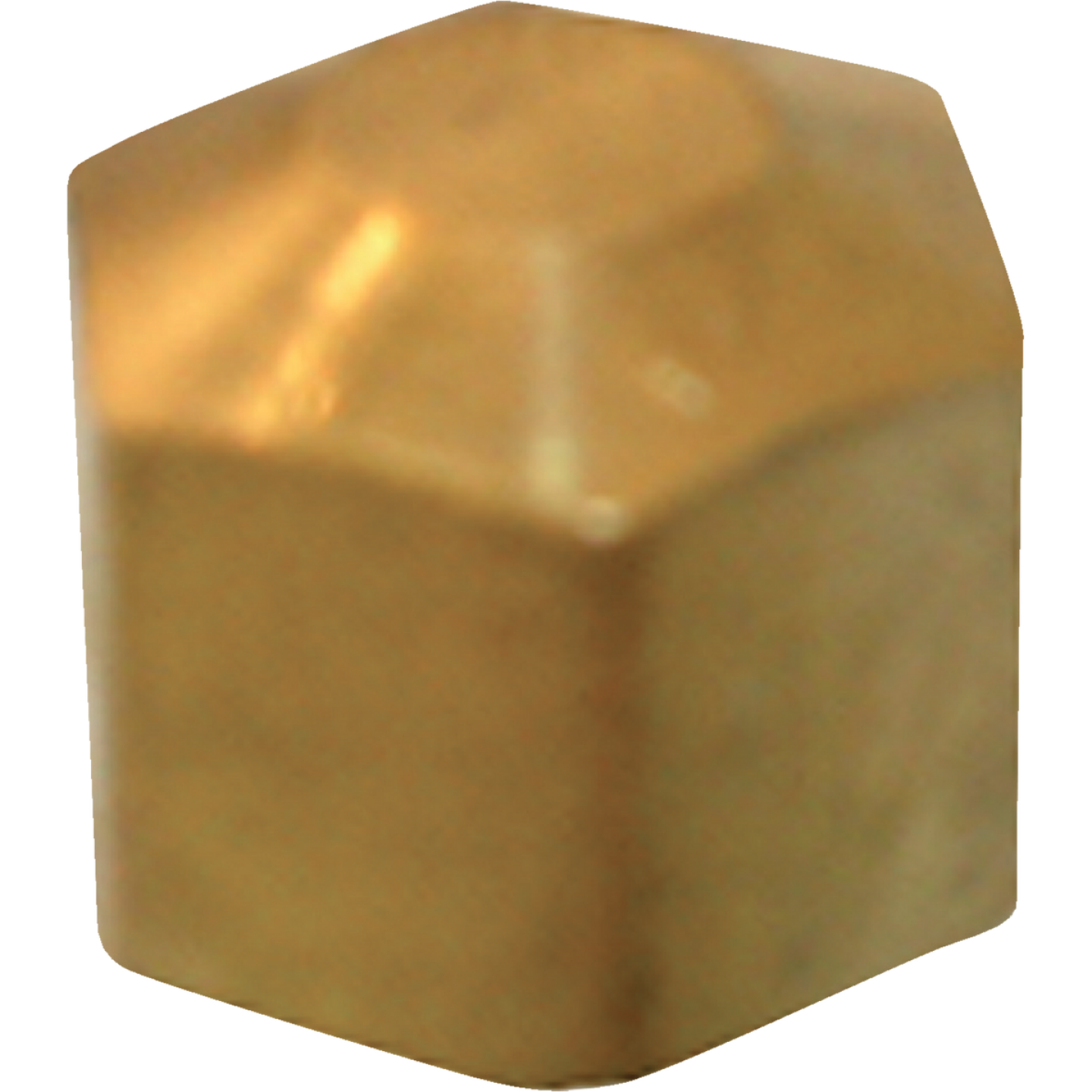 Lasco 5/16 In. Brass Compression Cap Image 1