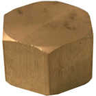 Lasco 1/2 In. Brass Compression Cap Image 1
