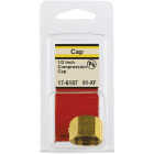 Lasco 1/2 In. Brass Compression Cap Image 2
