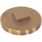 Sioux Chief 3-1/2 In. Solid Brass Raised Square Head Cleanout Image 1