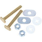 Do it Best 5/16 In. Brass Toilet Bolt Set Image 1