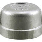 PLUMB-EEZE 1 In. FIP Stainless Steel Cap Image 1