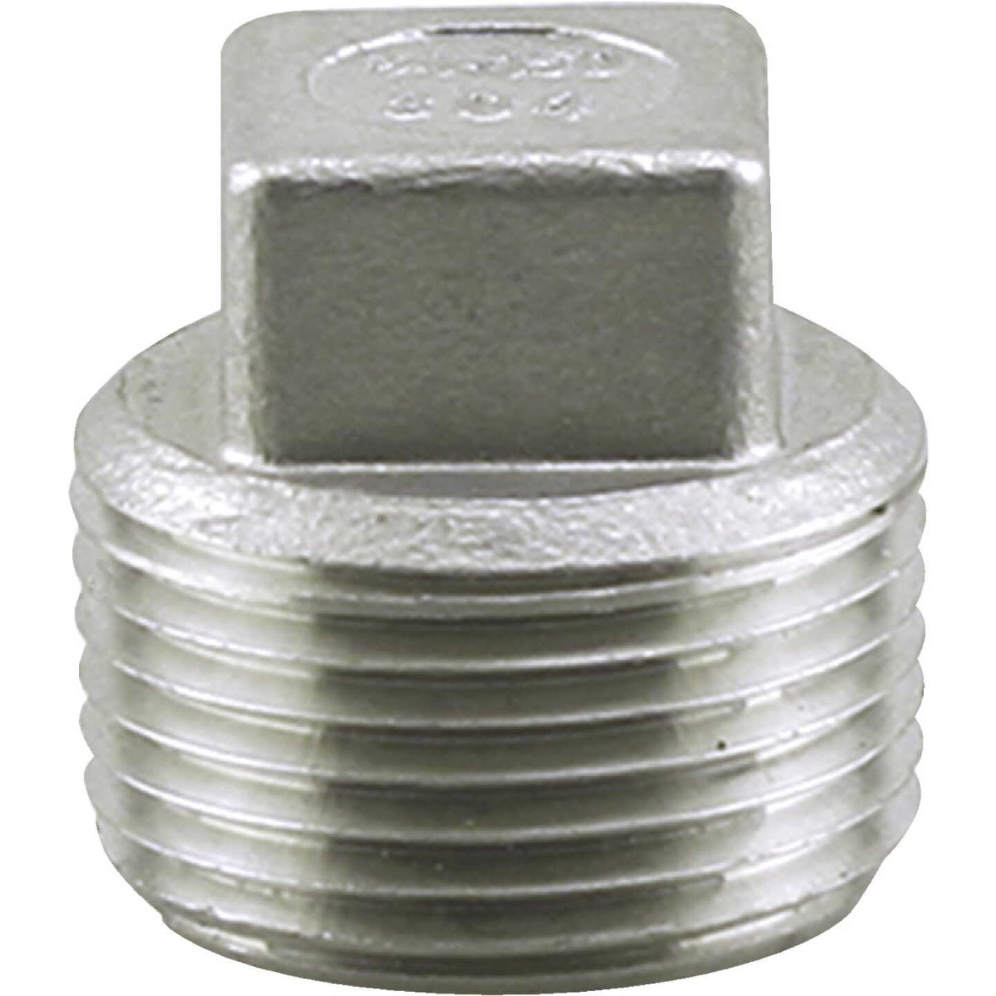 PLUMB-EEZE 3/4 In. MIP Square Head Stainless Steel Plug Image 1